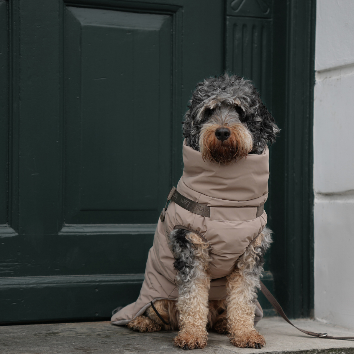Staey - Vera Hundemantel mit Geschirr | Sand