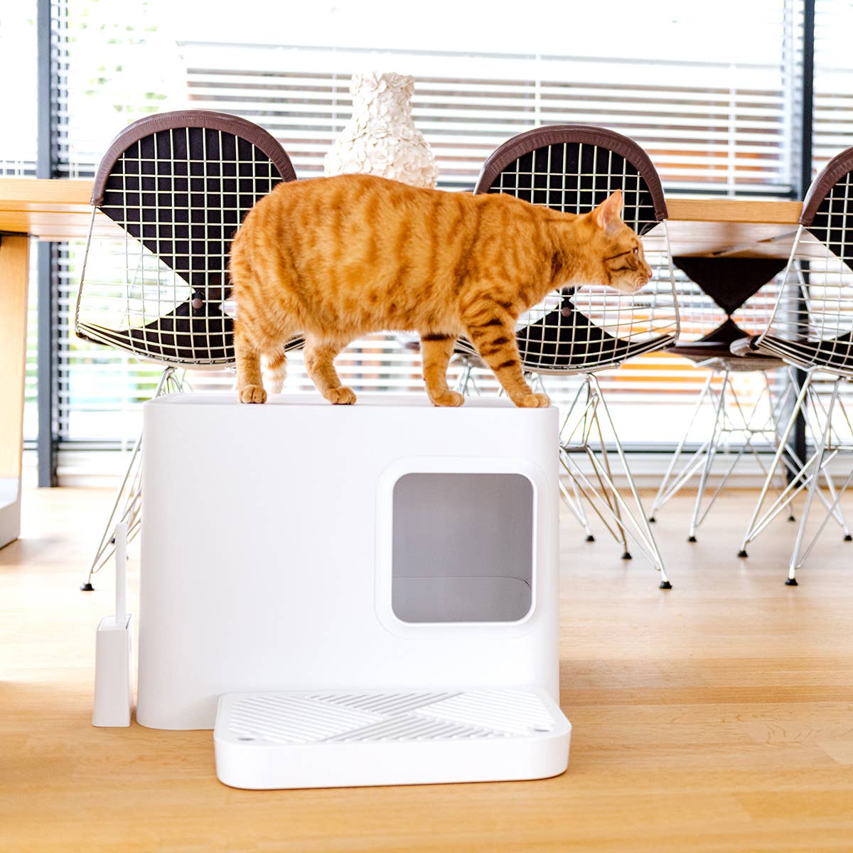 Hoopo - Dome Plus Katzentoilette