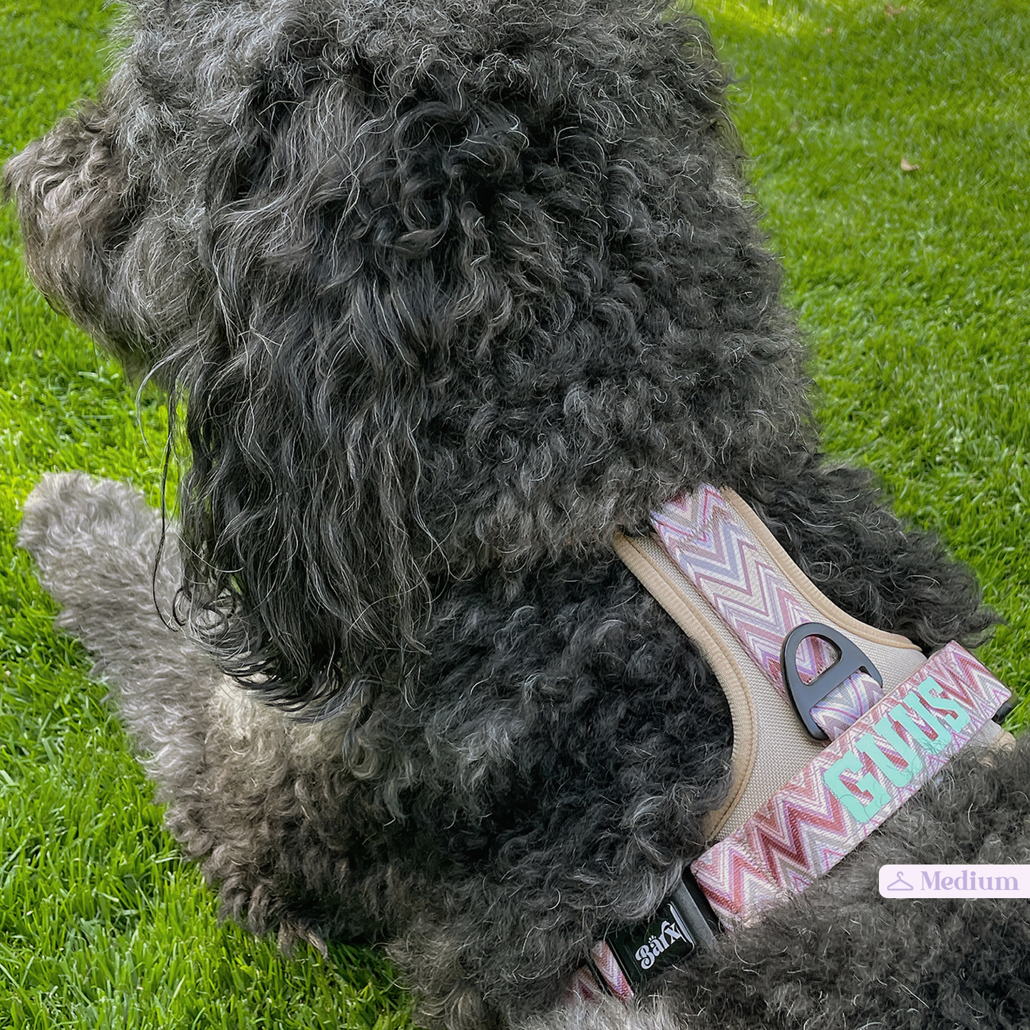 Barx - Abenteuer Luftgeschirr | Missoni