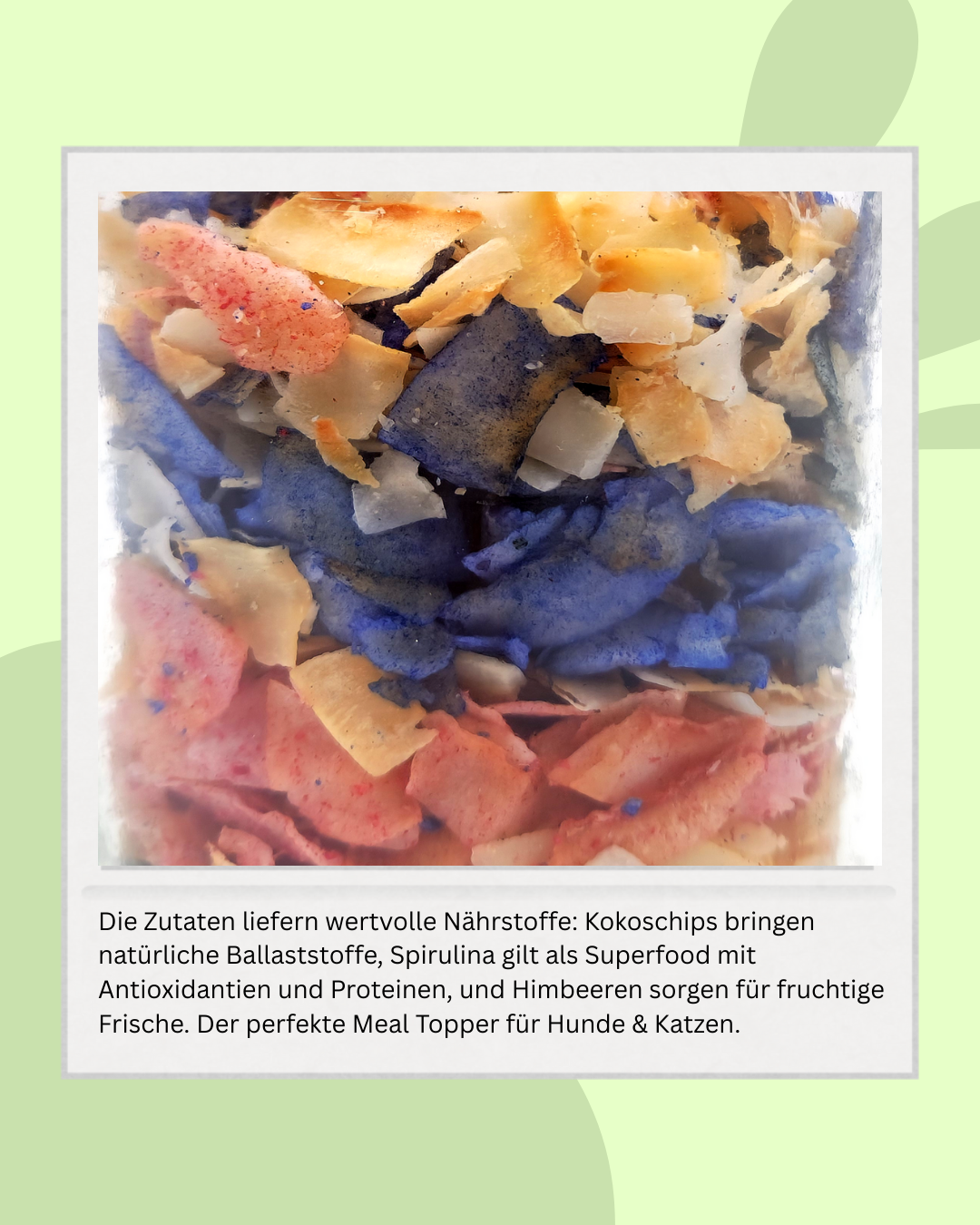 Pamico - Buntes Kokos Gewürz Meal Topper - Regenbogen Kokos Topping für Hunde & Katzen