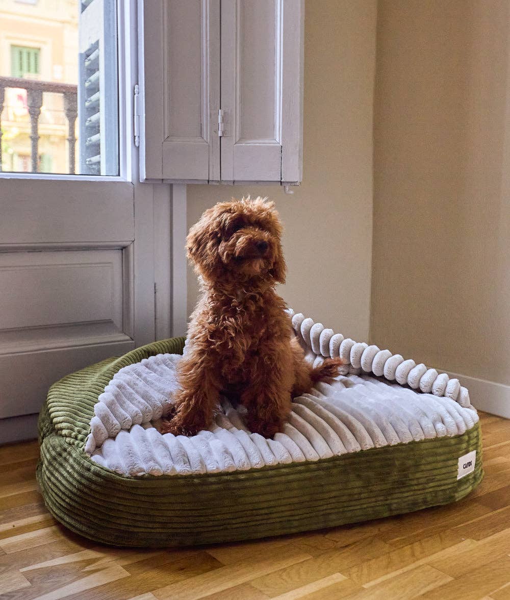 Cafide - Hundebett mit Kapuze aus grünem Cord, Maso