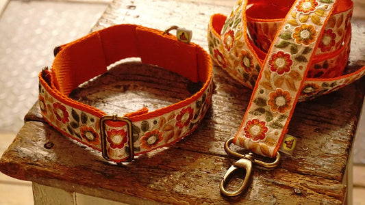 Hundsfutter - „Summertime“ Halsband- und Leinen-Set mit Blumendesign