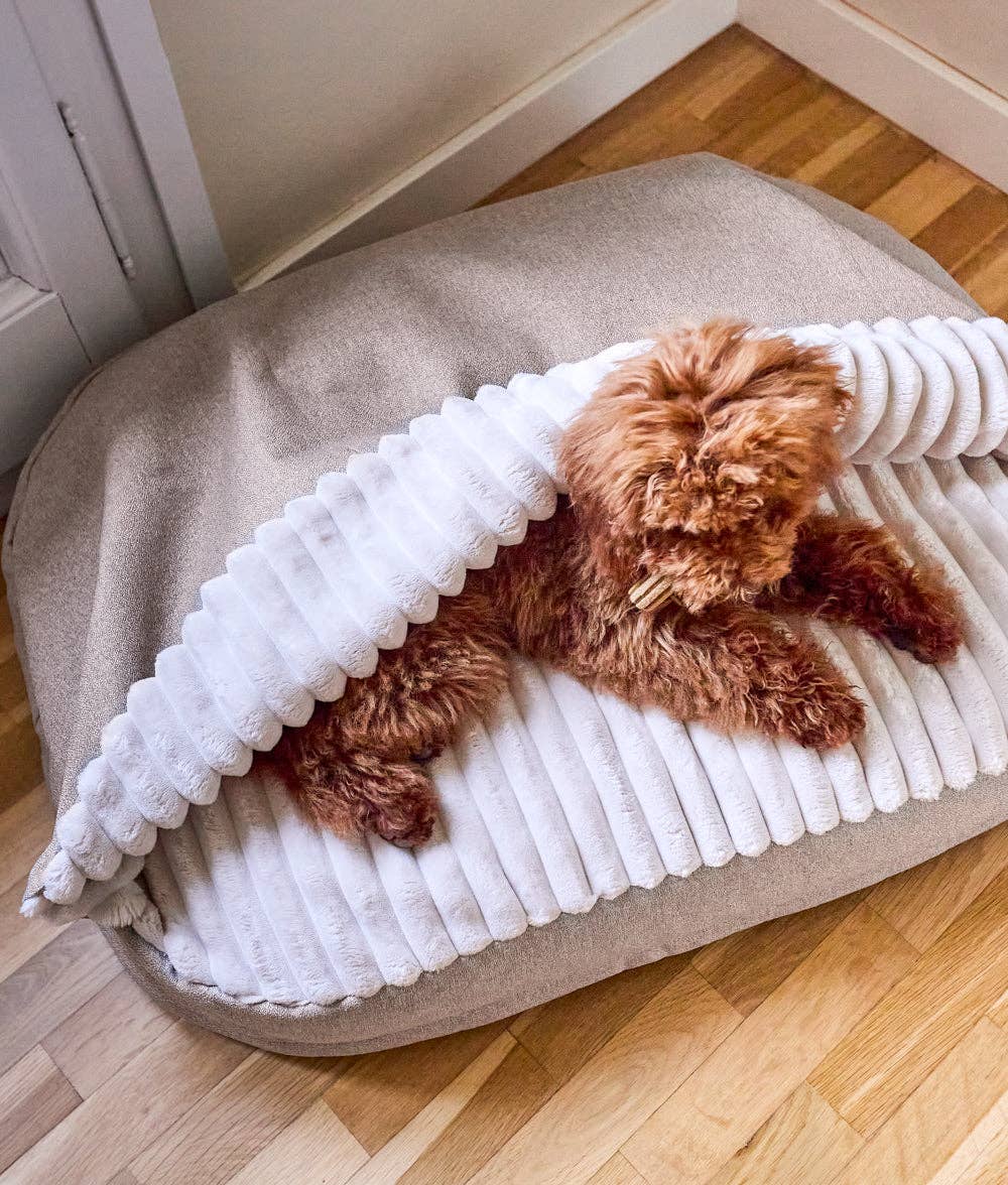 Cafide - Hundebett mit Kapuze Chenille Beige, Maso