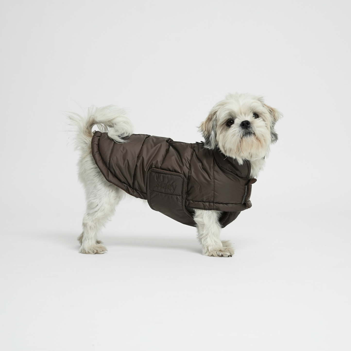 Staey - Nora Hundemantel | Espresso: XL