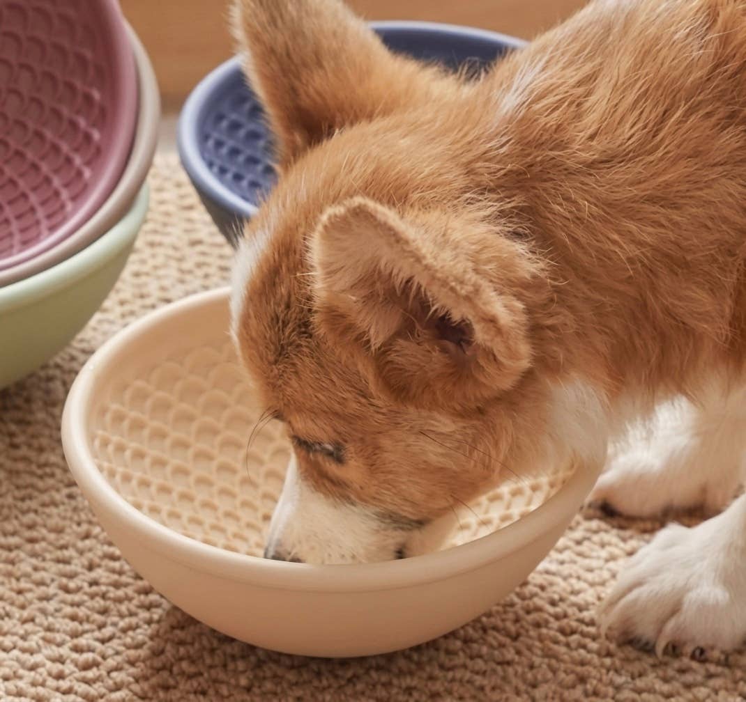 Doggotique - Slow Bowl Space für Hunde, Slow Feeder Dog, Futternapf