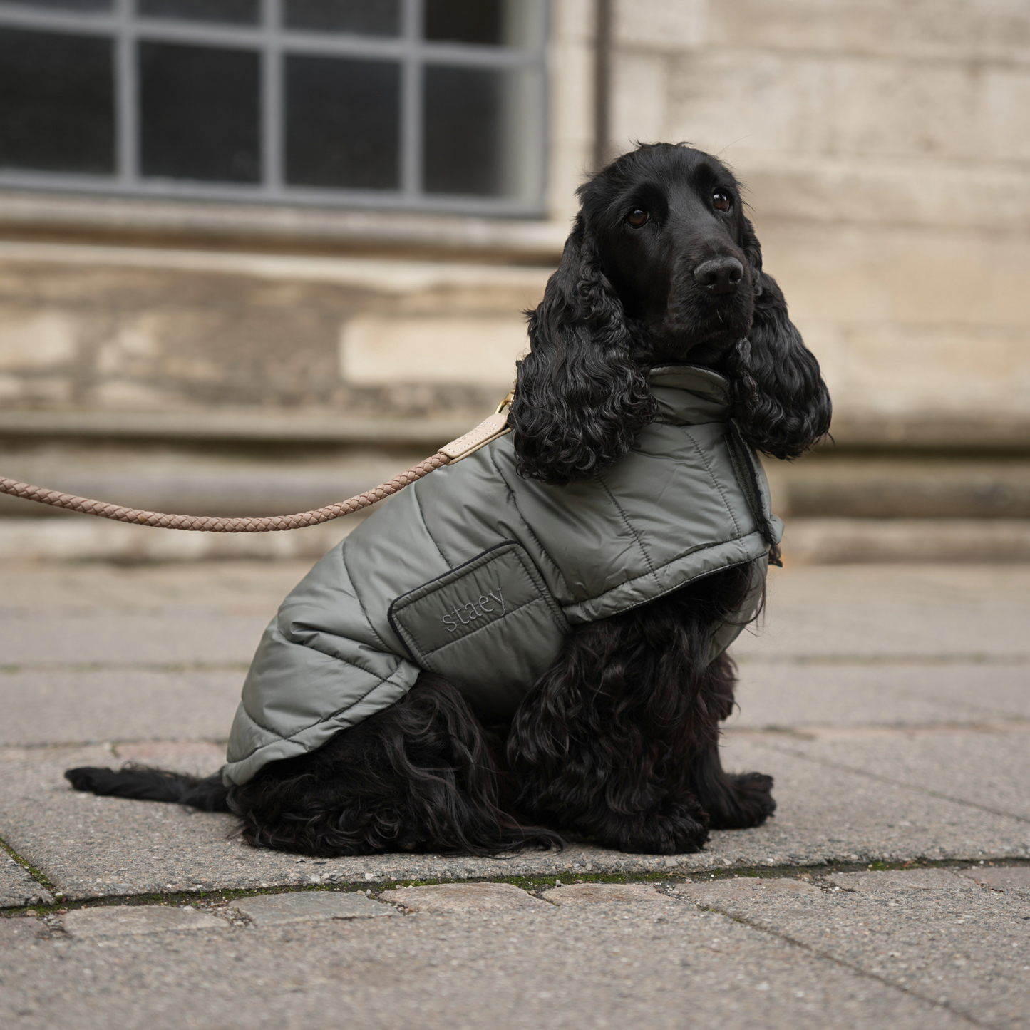 Staey - Hundemantel Nora | Moosgrün