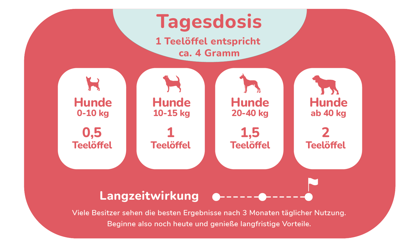 felmo - Probiotika für Hunde - 250g