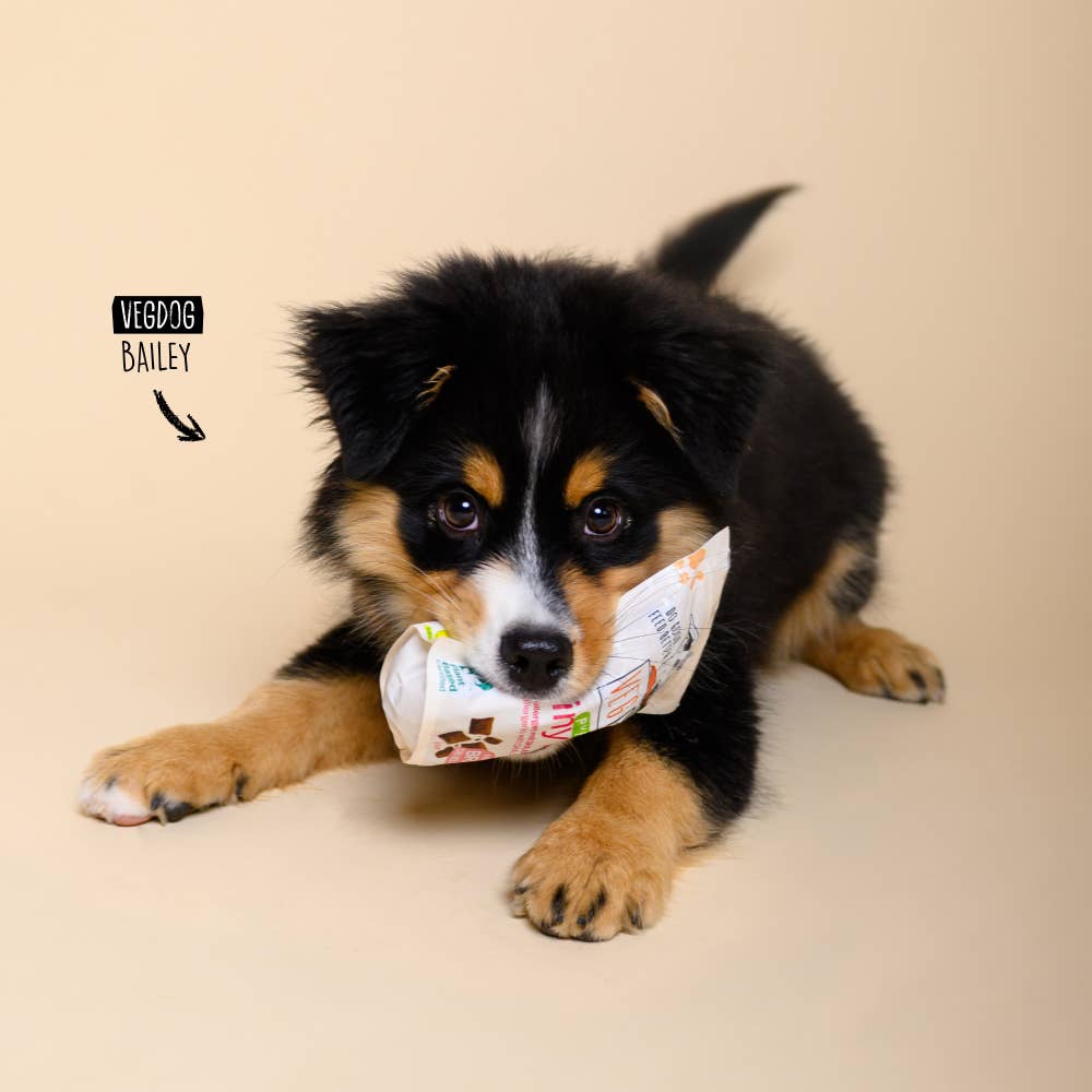 VegDog - BRAINY BITES 80g