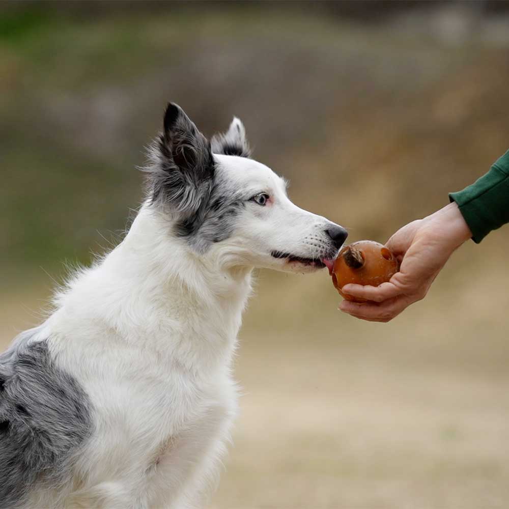 retorn - Rub Hole Doppelpack - Hundespielzeug