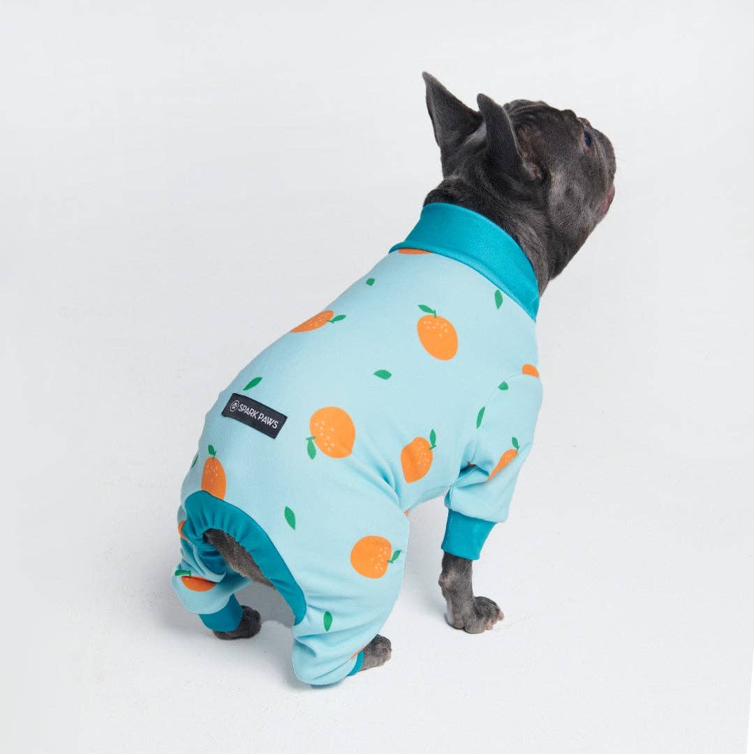 Hunde-Pyjama - Orangen