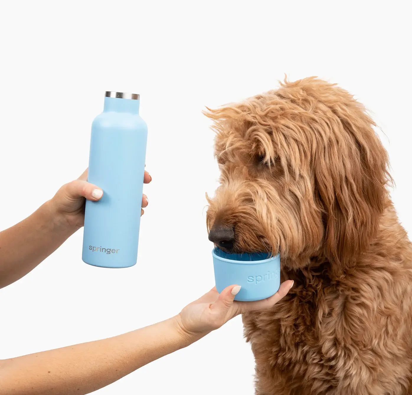 Dog & Me - Isolierte / Wasserflasche mit Becher - 710ml