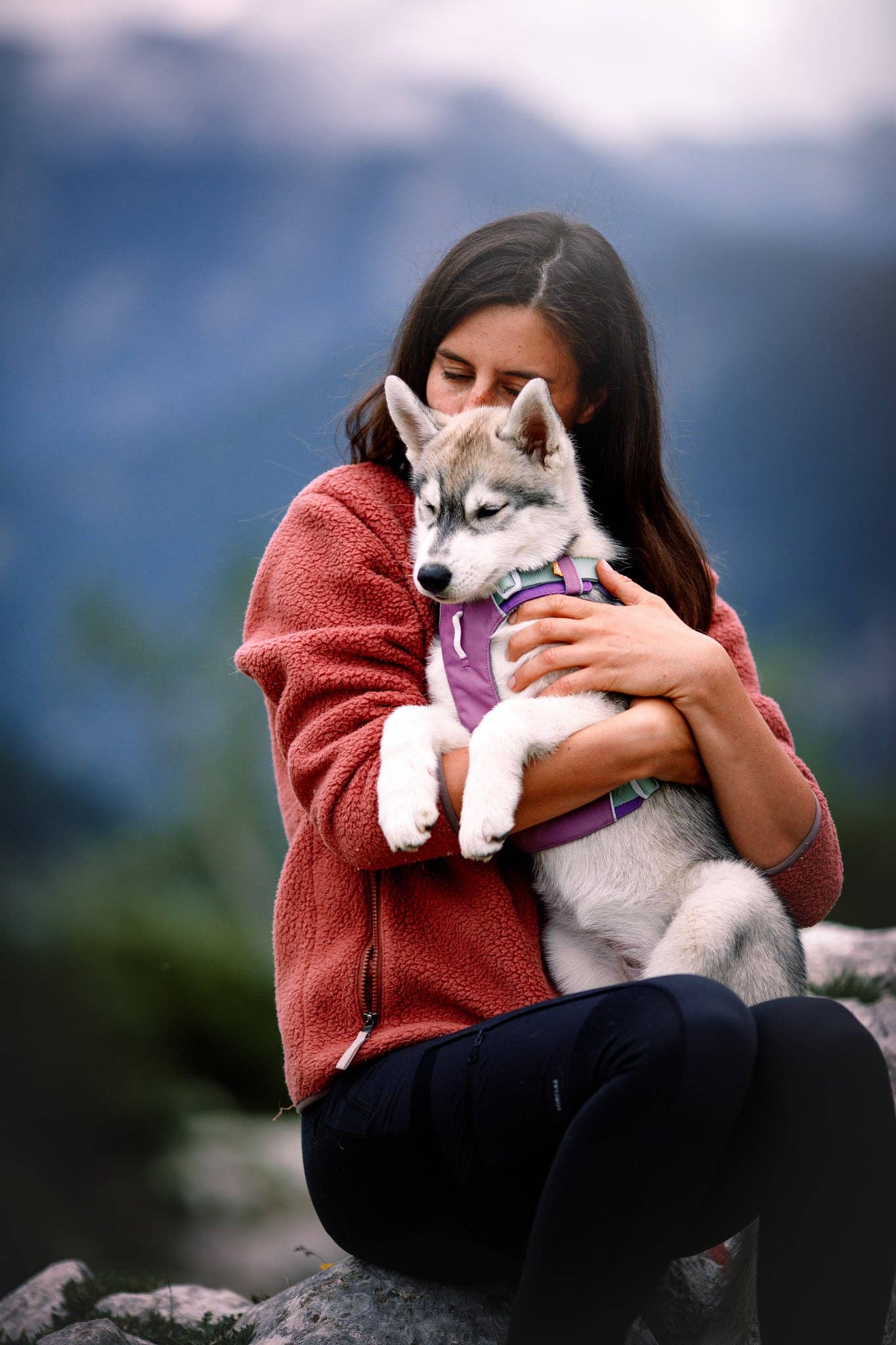 Woolly Wolf - Alpha 360 Harness Mauve Mix