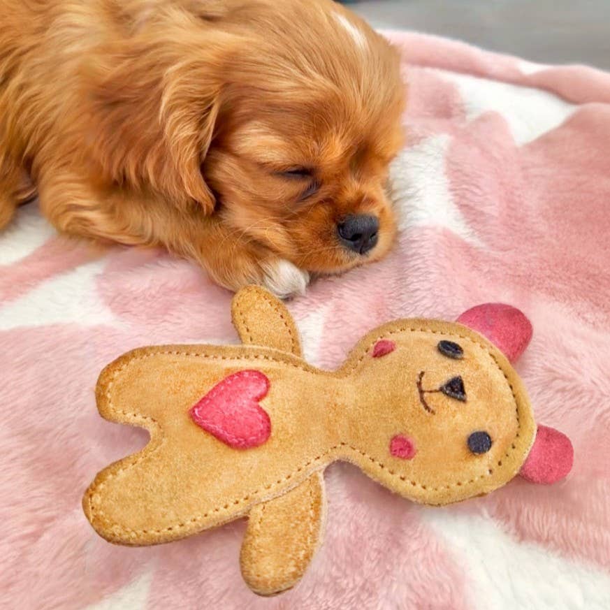 TEDDYBÄR für kleine Hunde 🐻