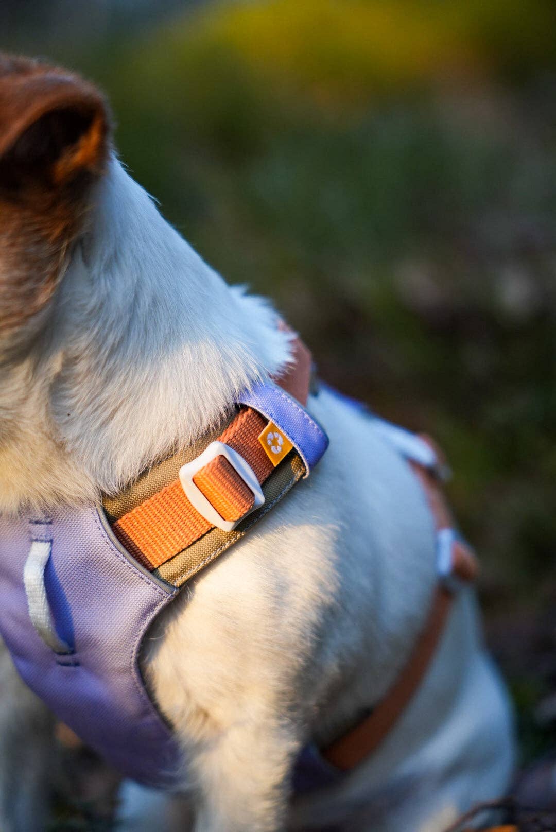 Woolly Wolf - Alpha 360 Hundegeschirr recycelt (RPET)