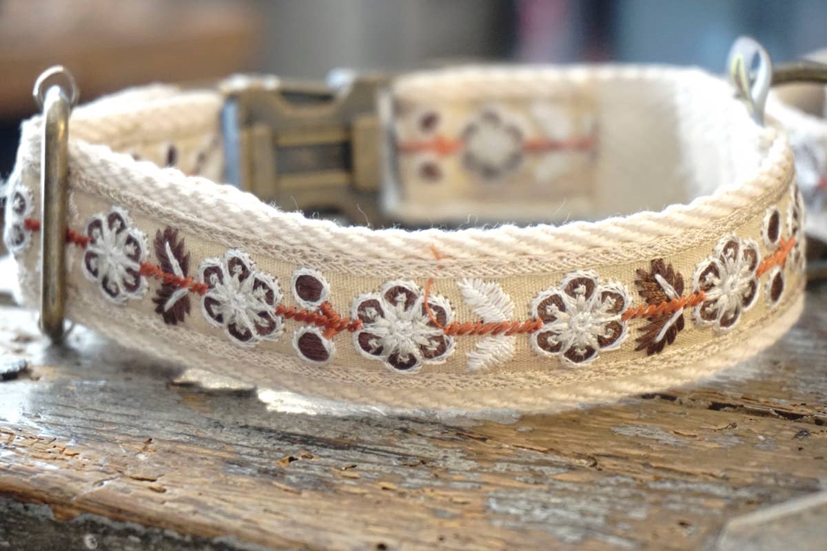 Hundsfutter - Elegantes Halsband- und Leinen-Set "John"