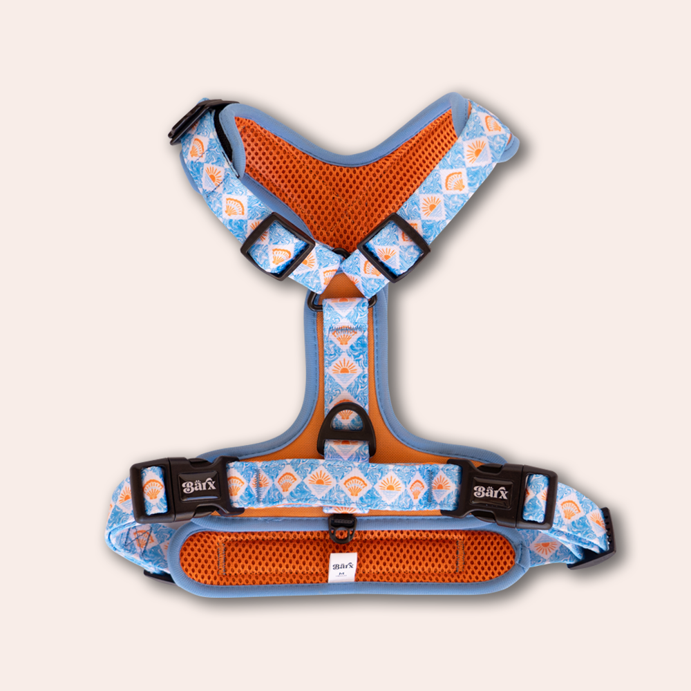 Barx - Adventure Air Geschirr | Hope Harbor