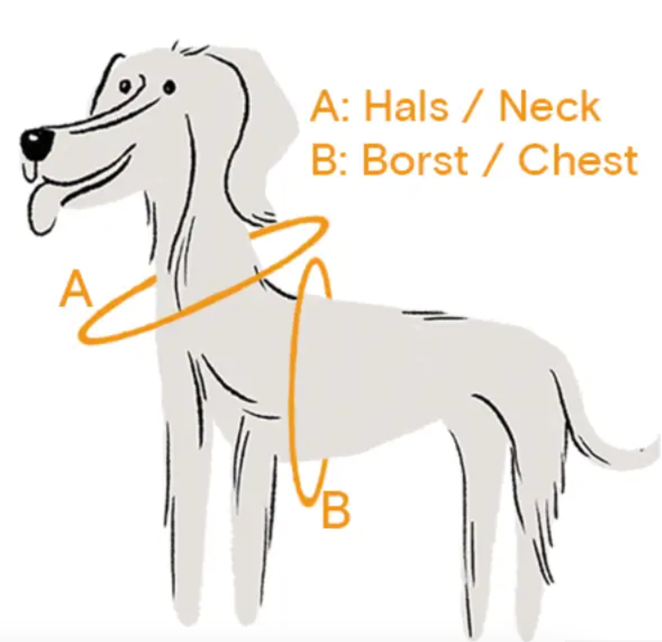 Hundegeschirr NEU - Blau & Gelb - Größe L