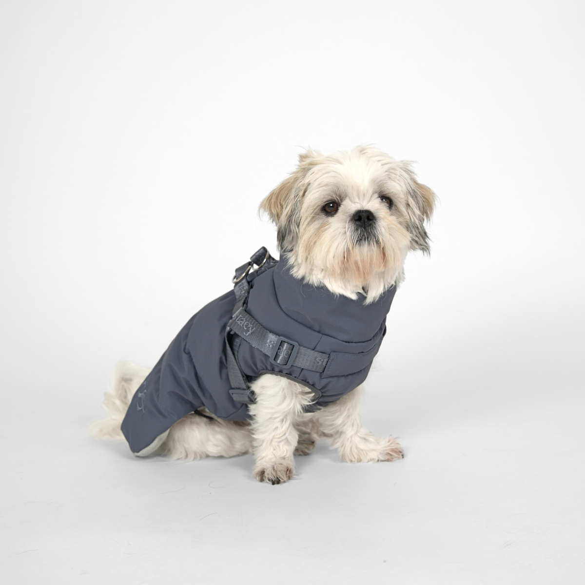 Staey - Vera Hundemantel mit Geschirr | Staubblau: M
