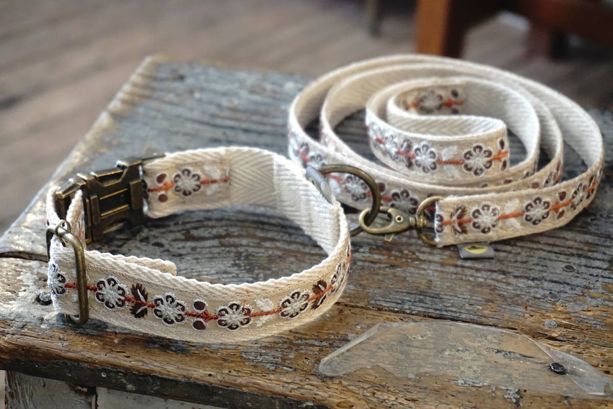 Hundsfutter - Elegantes Halsband- und Leinen-Set "John"