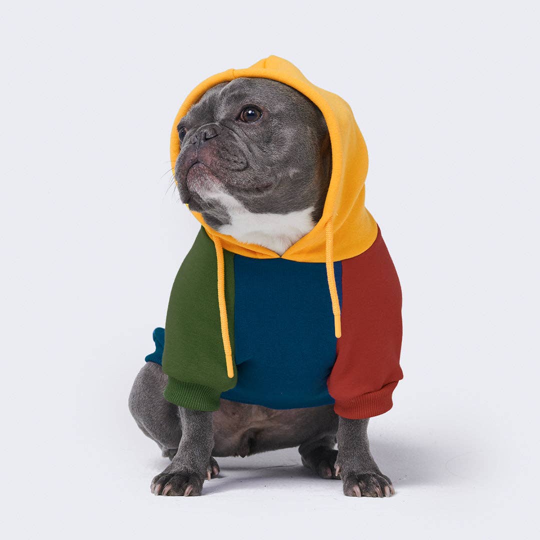 Hunde-Hoodie in Primärfarben