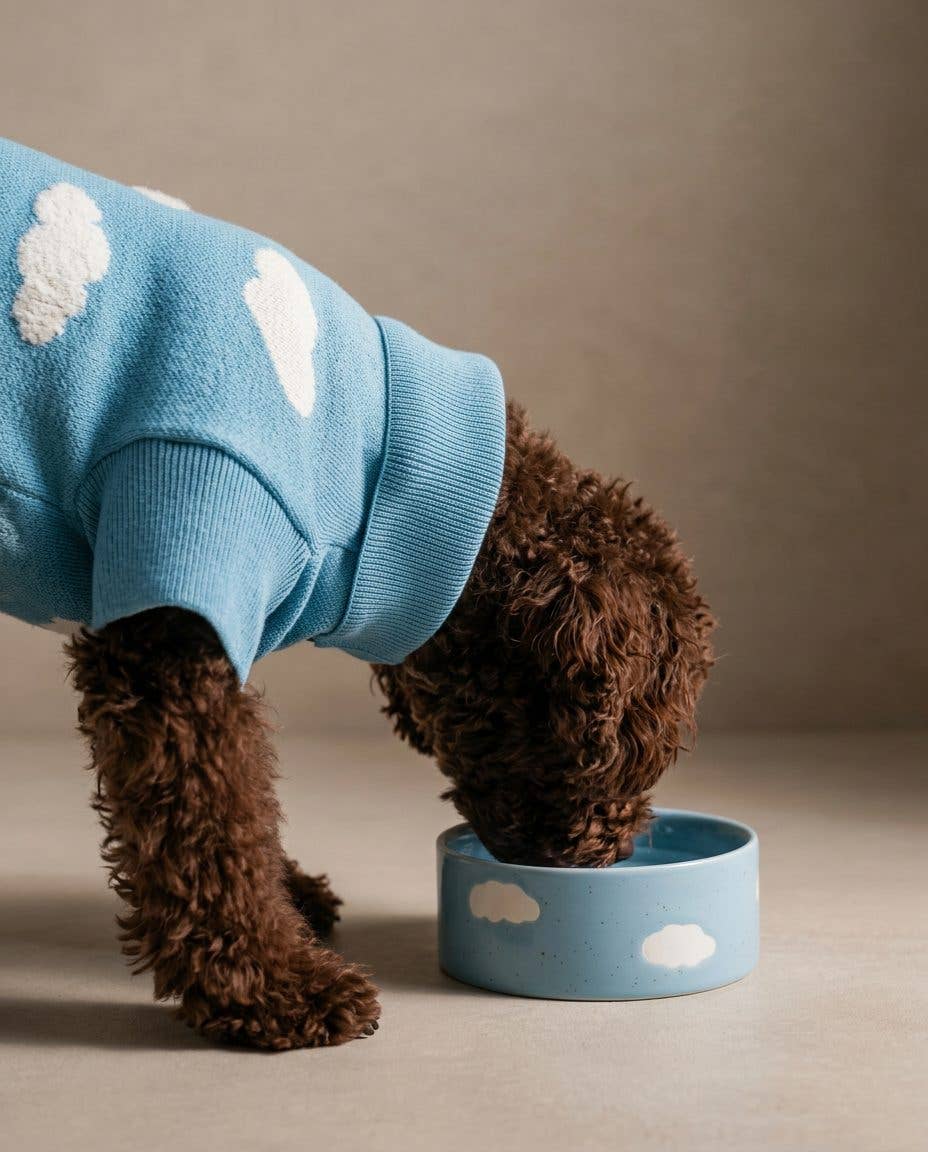 Egg Back Home - Cloud Napf-Set für Haustiere, 14 cm, 2 Stück