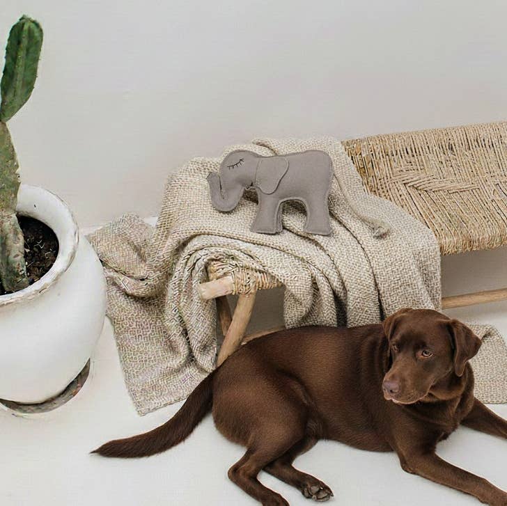 BUDDY - Hundespielzeug aus Leder "Elefant"