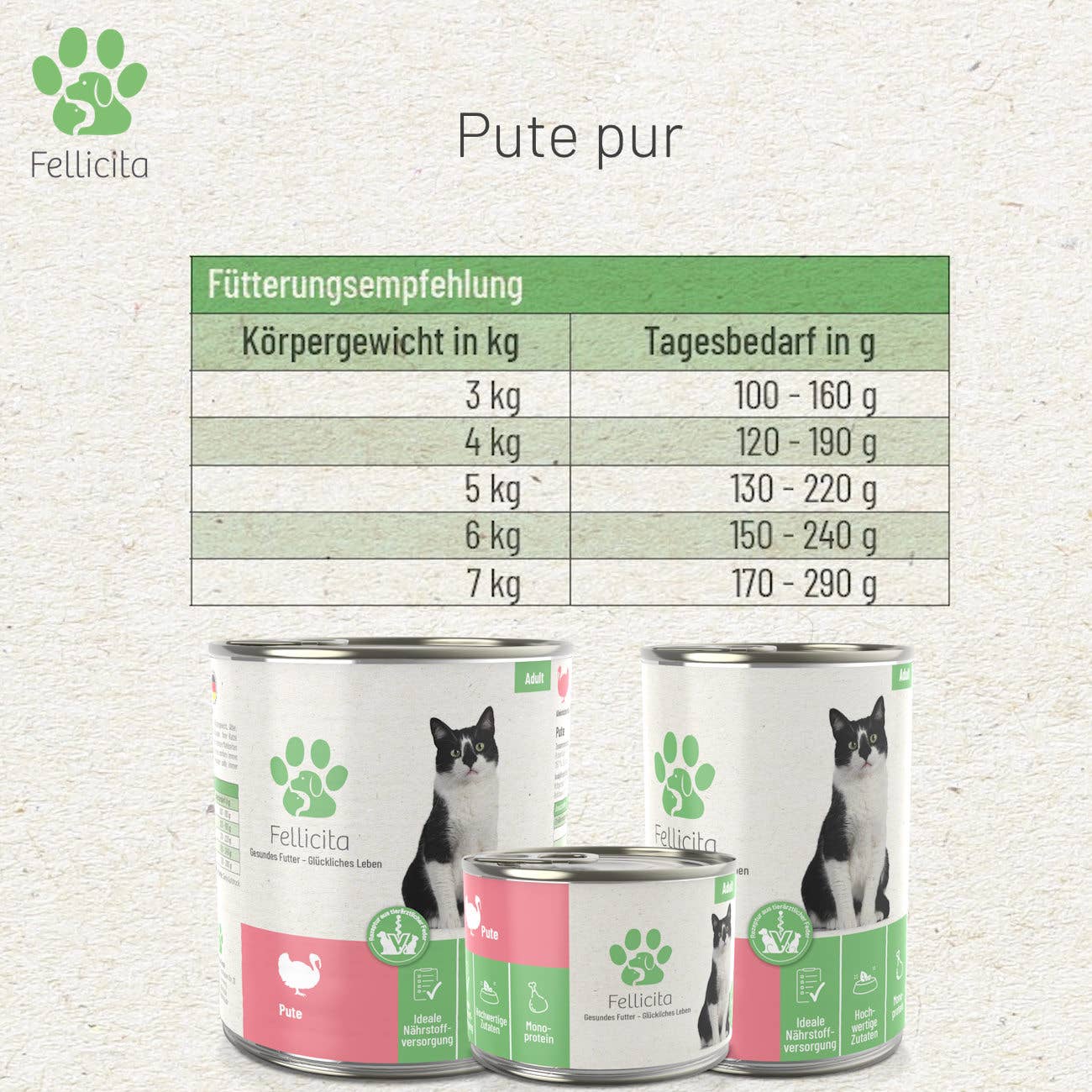 Fellicita - Katze Pute pur 200g Dose