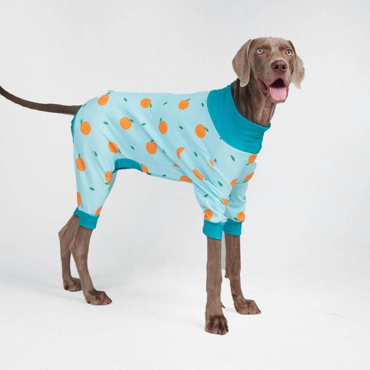 Hunde-Pyjama - Orangen