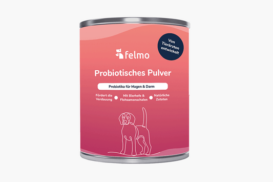 felmo - Probiotika für Hunde - 250g