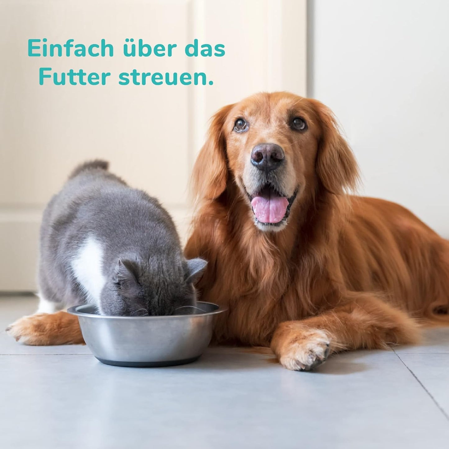 felmo - Zahnpflege-Pulver für Hunde und Katzen - 160g