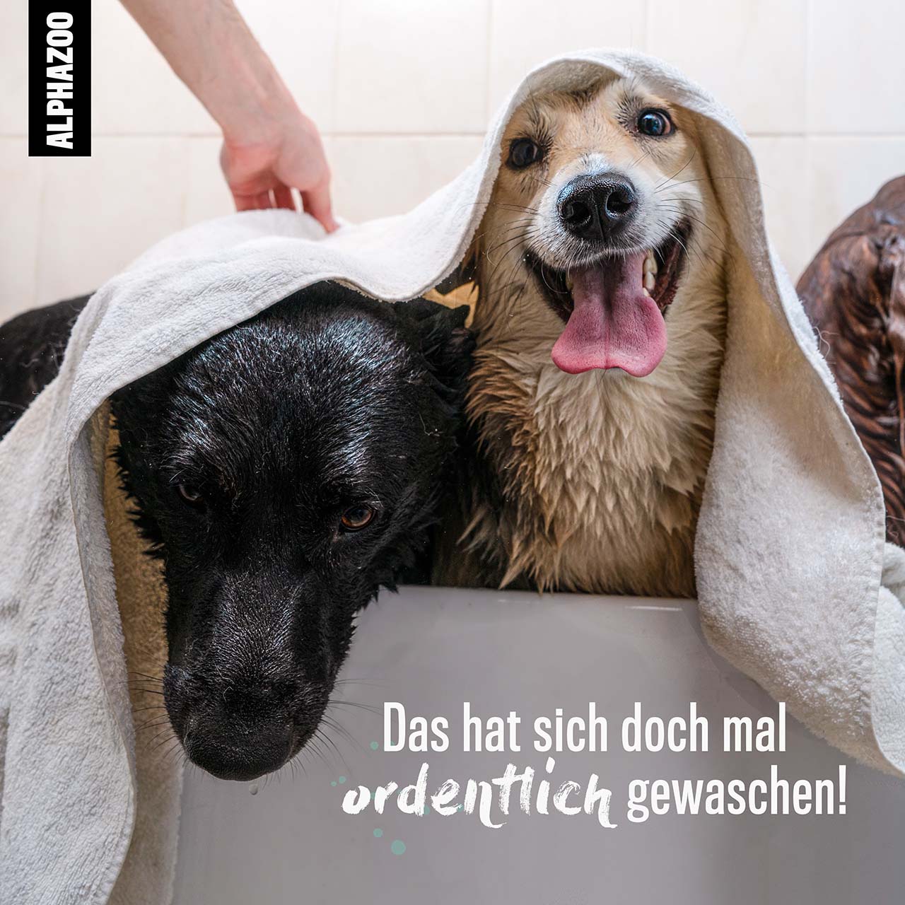 Alphazoo - Bye-Bye-Vloh Flohshampoo für Hunde - 200ml