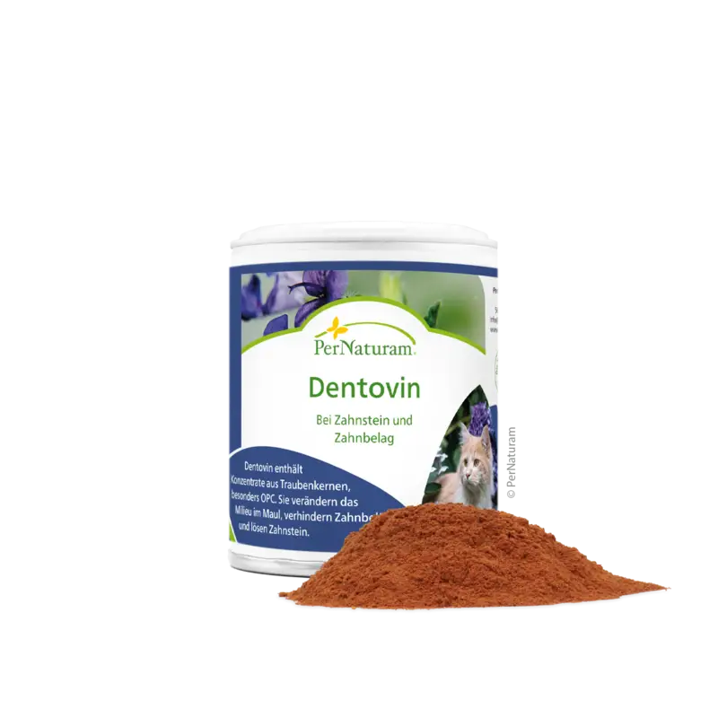 PerNaturam - Dentovin - 50g