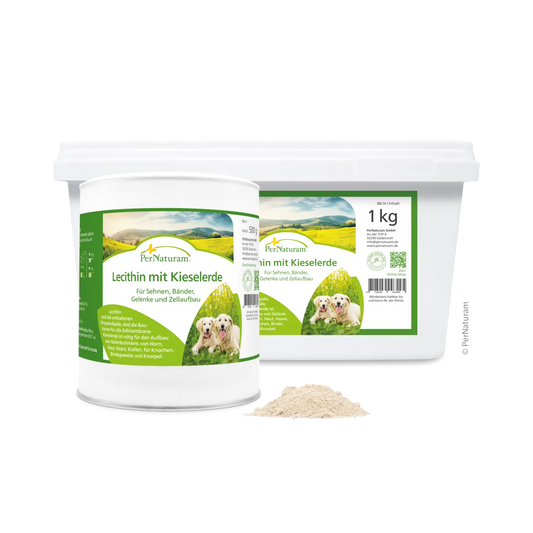 PerNaturam - Lecithin  mit Kieselerde - 500g